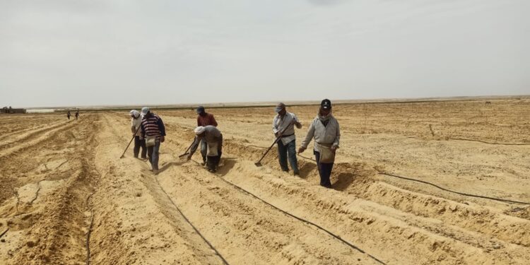 تعرف على أفضل الطرق للتغلب على ندرة المياه بالأراضي الصحراوية 1 ندرة المياه