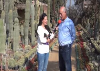 عاشق الصبار