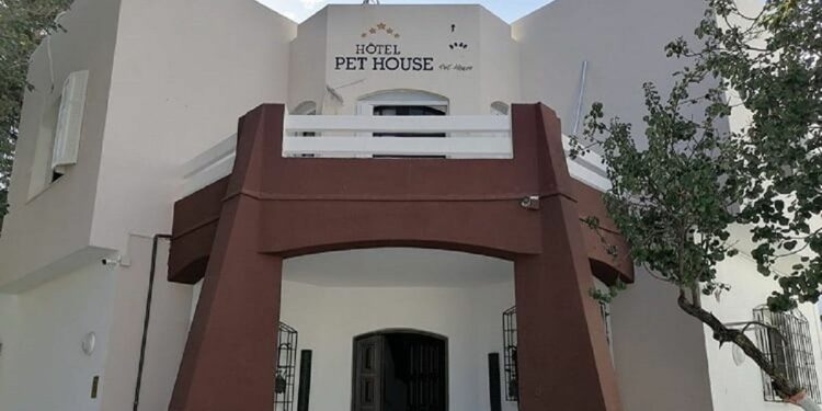 فندق خاص للحيوانات.. كلية الطب البيطري تستعد لافتتاح أحدث مشاريعها 1 كلية الطب البيطري تستعد لافتتاح فندق خاص لـ"الحيوانات"