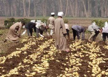 ميبكوات الكلوريد