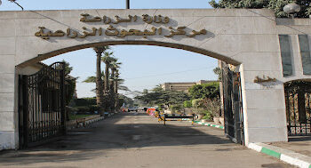 البحوث الزراعية يعلن تنظيم 170 مدرسة حقلية في 3 محافظات