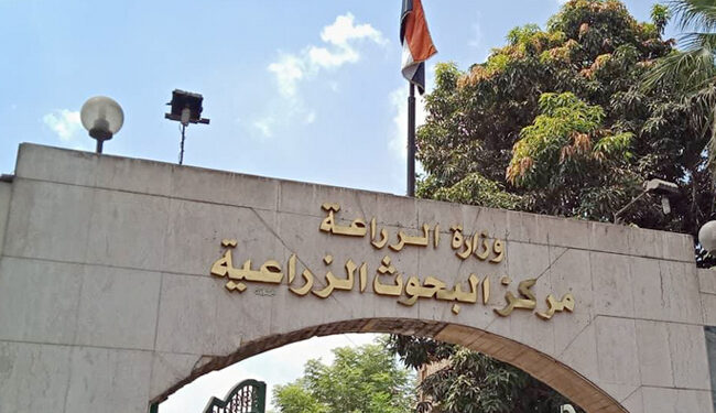 "المحطات البحثية".. قاطرة التنمية الزراعية في مصر 1 المحطات البحثية