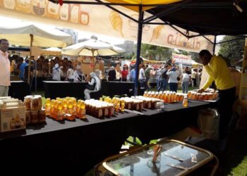 النحالين العرب تكشف تفاصيل خطة تعميم “مهرجان العسل” بجميع المحافظات