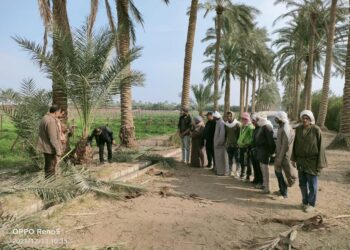 مدرسة حقلية