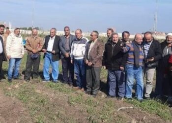 ندوة إرشادية حقلية للقمح بمركزي الزقازيق والقنايات بالشرقية