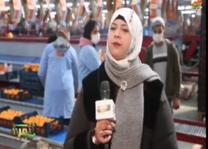 تكويد المزارع التصديرية