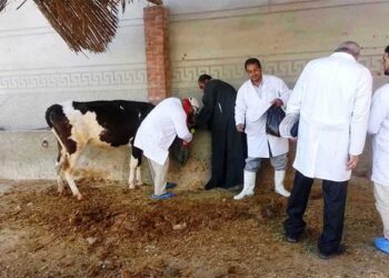 دليل خدمات وزارة الزراعة