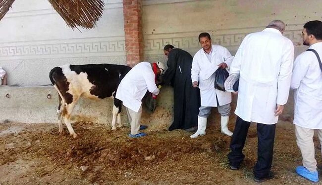 دليل خدمات وزارة الزراعة.. الخدمات التي يقدمها صندوق التأمين على الثروة الحيوانية 1 دليل خدمات وزارة الزراعة