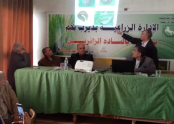 دودة الحشد الخريفية