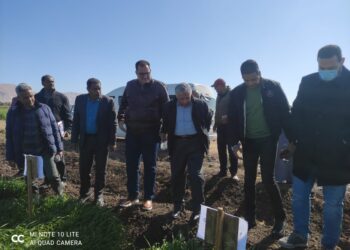 المحطات البحثية