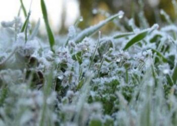 التقلبات الجوية