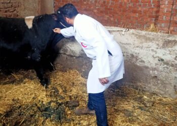 الجلد العقدي