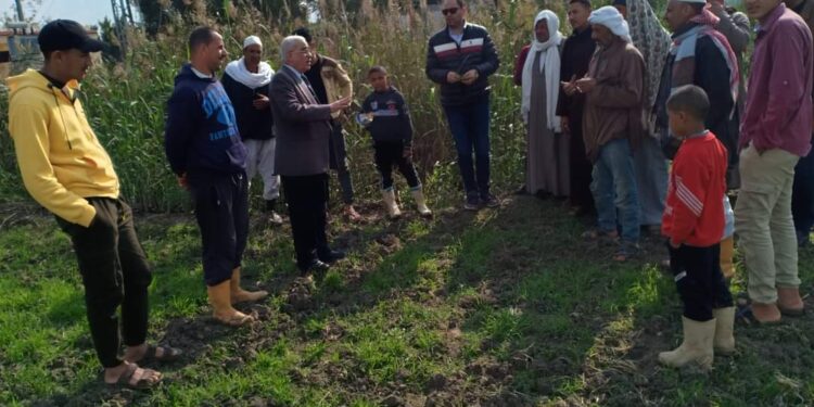 "الزراعة"  تنتهي من تنفيذ ٨ مدارس حقلية في ٥ محافظات 1 الزراعة