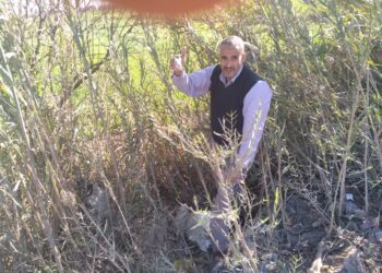 مكافحة الآفات