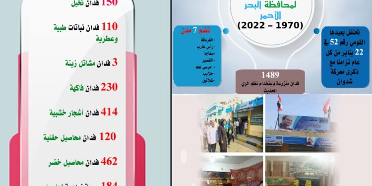 بالإنفوجراف "صحراء مصر الشرقية.. على خطى التنمية الزراعية الشاملة" 1 التنمية الزراعية الشاملة