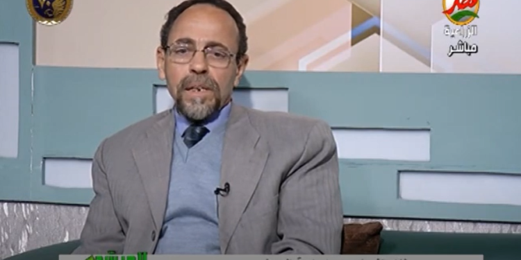 لمزارعي البصل.. نصائح هامة للحصول على إنتاج وفير 1 البصل