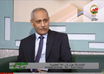 الزراعة العضوية