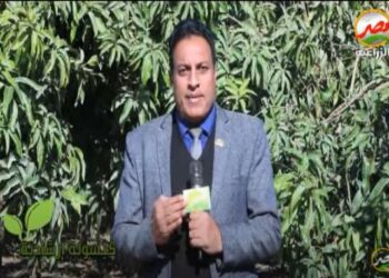 ذبابة فاكهة البحر المتوسط