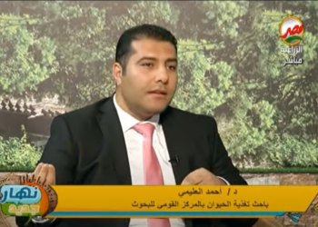 إنتاج الألبان