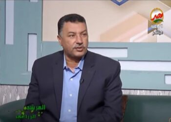 إعداد التقاوي