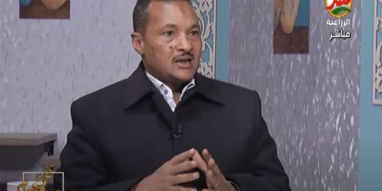 د. فنجري: 3.8 مليون طن حجم استيراد مصر من بذور المحاصيل الزيتية 1 المحاصيل الزيتية