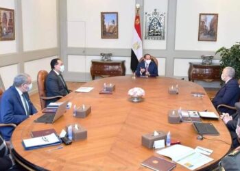 زراعات الزيتون