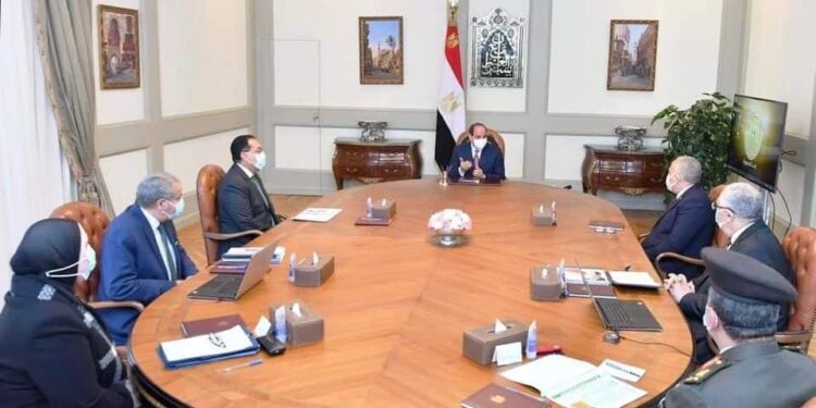 الرئيس السيسي يتابع موقف زراعات الزيتون وتحويل زراعة القصب بالشتل 1 زراعات الزيتون
