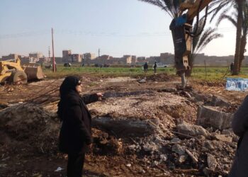 زراعة أسيوط تواصل متابعة الزراعات الشتوية وإزالة التعديات