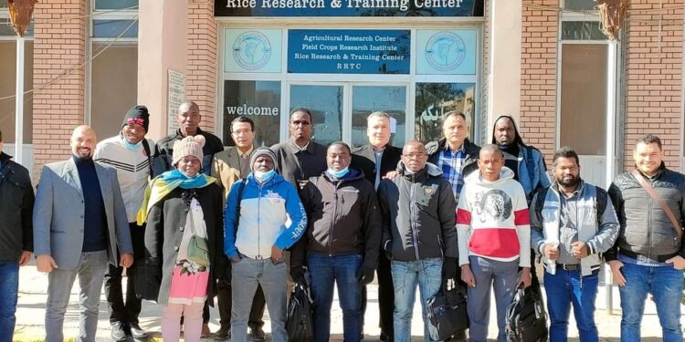 محطة بحوث سخا تستقبل وفدا من عدة دول إفريقية 1 محطة بحوث سخا تستقبل وفدا من عدة دول إفريقية