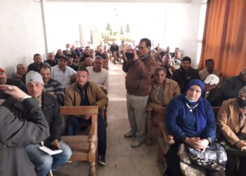 دودة الحشد الخريفية