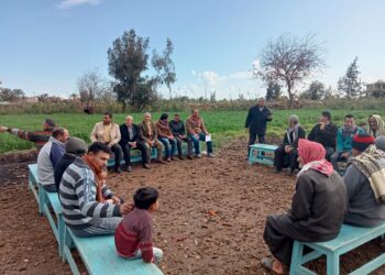 الزراعة: تنفيذ 37 مدرسة حقلية للمحاصيل الشتوية والإنتاج الحيوانى فى 14 محافظة