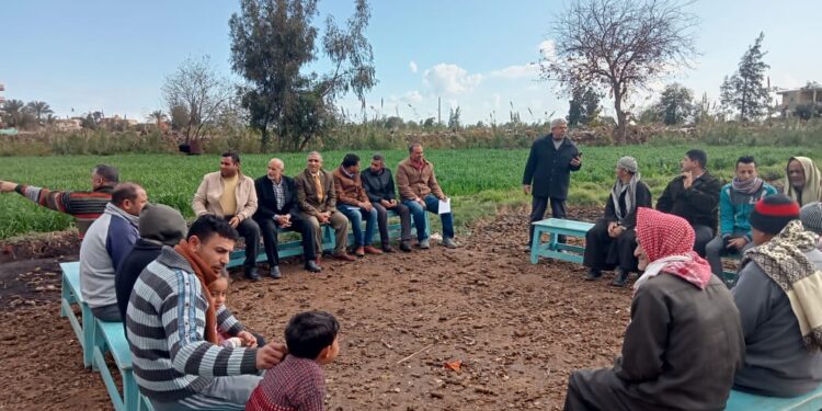 الزراعة: تنفيذ 37 مدرسة حقلية للمحاصيل الشتوية والإنتاج الحيوانى فى 14 محافظة 1 الزراعة: تنفيذ 37 مدرسة حقلية للمحاصيل الشتوية والإنتاج الحيوانى فى 14 محافظة