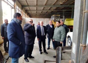 التأمين على الثروة الحيوانية