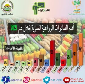 أسعار المحاصيل الزراعية ... عبدالمحسن يوضح أبرز 4 عوامل لتحديدها 12 الصادرات الزراعية