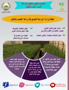 SAVE ٢٠٢٢٠١٢٣ ١٥٠٥٣٦
