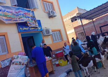 الزراعة تعلن علاج وفحص 3787 رأس ماشية مجانا لصغار المربين بالبحيرة