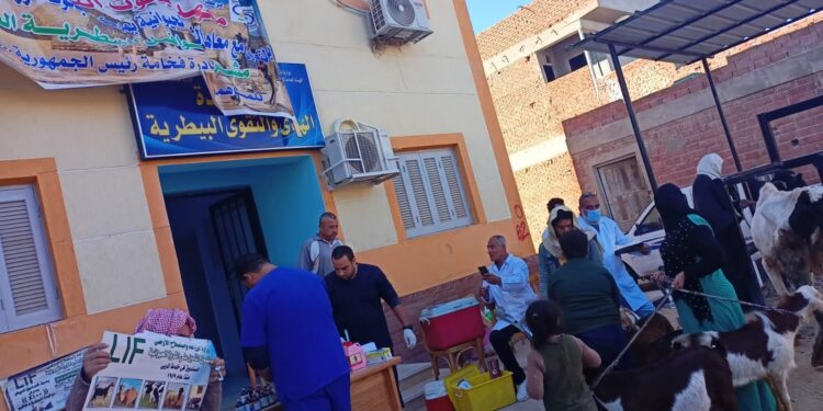 الزراعة تعلن علاج وفحص 3787 رأس ماشية مجانا لصغار المربين بالبحيرة