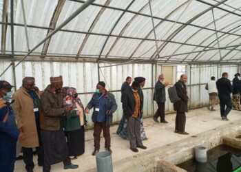 وفد علمي نيجيري