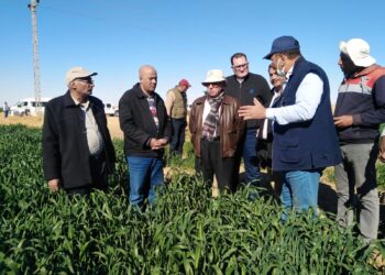 الزراعة تتابع محطة البحوث والمشروعات الزراعية في توشكى