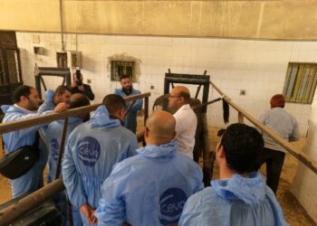 الإدارة الحديثة للتناسليات