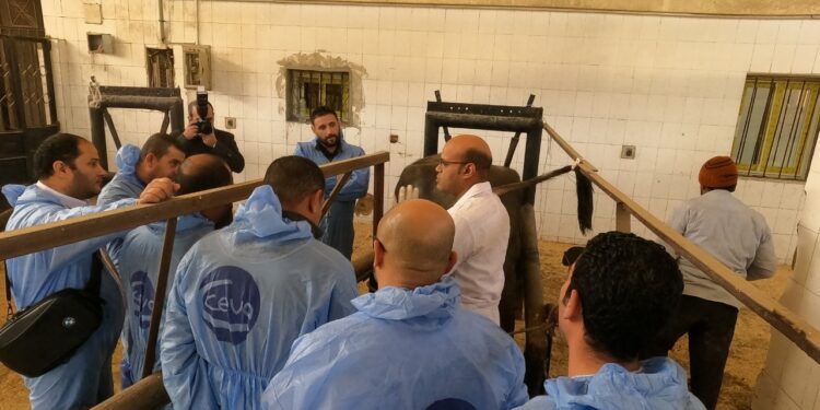 الزراعة تختتم فعاليات مؤتمر الإدارة الحديثة للتناسليات في الأبقار والجاموس 1 الإدارة الحديثة للتناسليات