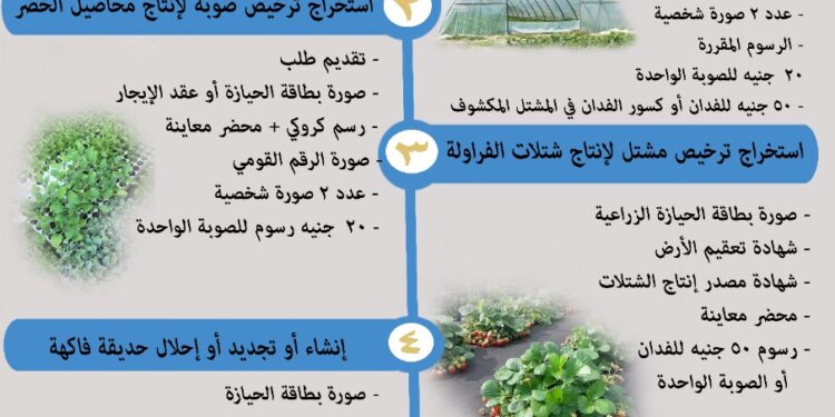 بالإنفوجراف العدد الثاني من دليل خدمات وزارة الزراعة.. الخدمات التي تقدمها الإدارة المركزية للبساتين 1 دليل خدمات وزارة الزراعة