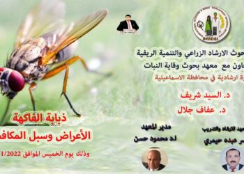 ذبابة الفاكهة