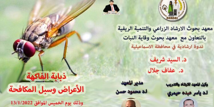"الإرشاد الزراعي" ينظم ندوتين حول دودة الحشد الخريفية وذبابة الفاكهة في بني سويف والإسماعيلية 1 ذبابة الفاكهة