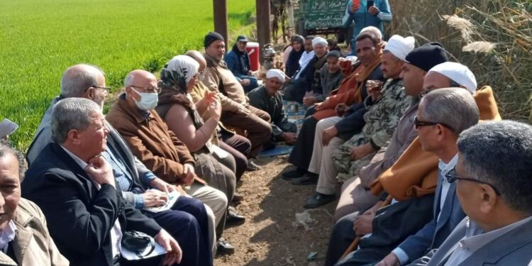 الزراعة: تنفيذ 37 مدرسة حقلية للمحاصيل الشتوية والإنتاج الحيوانى في 15 محافظة خلال أسبوع 1 مدرسة حقلية