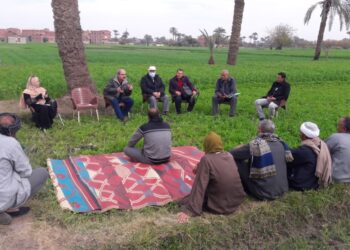 مدرسة حقلية