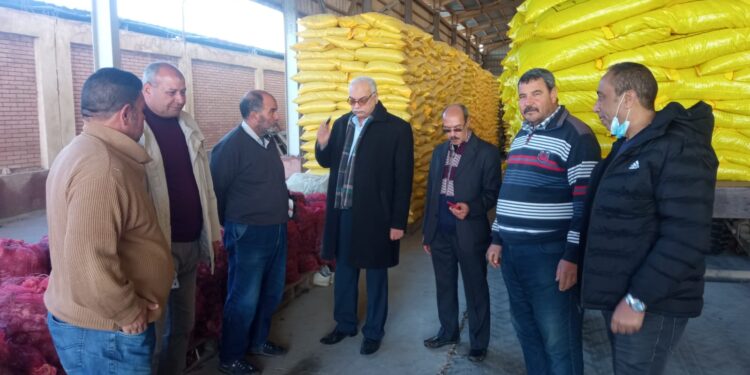 "الزراعة" تتابع محطات إعداد بذرة القطن في كفر الشيخ استعدادا لموسم الزراعة 1 بذرة القطن