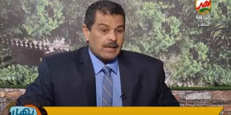 باحث يوضح أخطر 3 آفات تصيب الموالح وطرق مكافحتها 1 الموالح