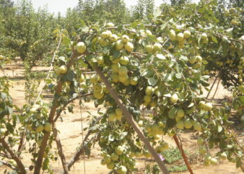 وحدات البرودة