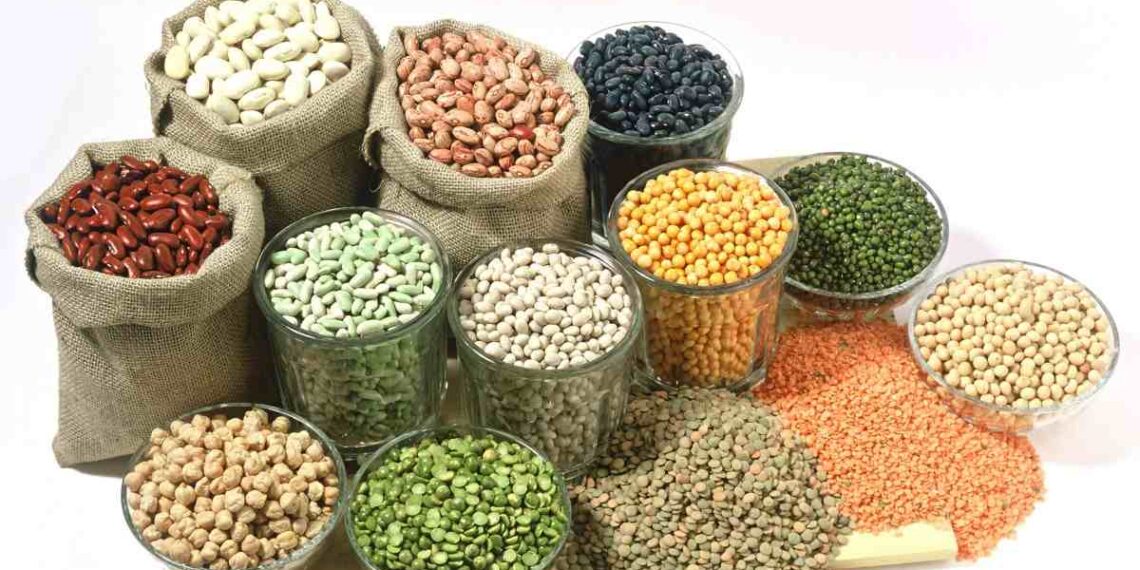 إضافات الأعلاف.. لماذا يتم رفض بعض الشحنات؟.. مدير المركز الإقليمي يجيب 1 إضافات الأعلاف